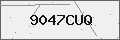 Verification Code Image