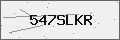 Verification Code Image