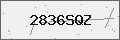 Verification Code Image