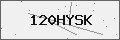 Verification Code Image